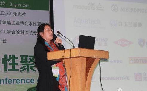 帝斯曼涂料树脂部工业经理杨乃红