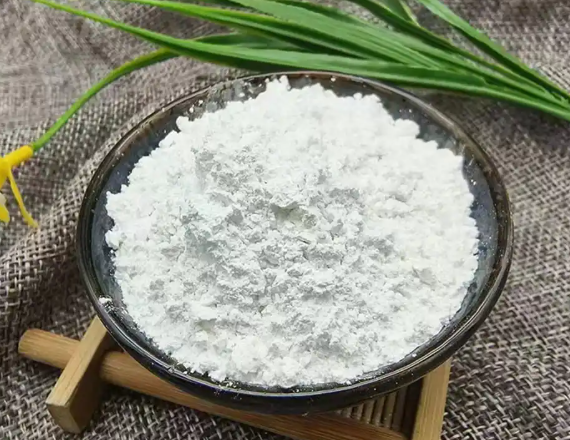 长兴鸿玥推广核心粉体产品,赋能产业升级