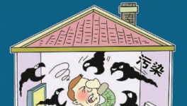 三棵树对抗室内“杀手” 