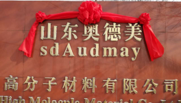 中国水性涂料、粘合剂领域领导者