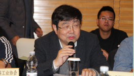 氧化铁行业分会及2019年理事会工作会议成功召开