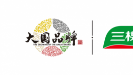 三棵树入选科技巨头华为集团外墙涂料与地坪漆战略合作供
