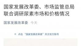 再出手！继煤炭、铁矿石后，两部门瞄准这一化工品！