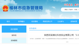 闪爆致3人死亡！一化工厂被责令停产！