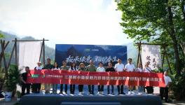 守护珍稀物种崖柏 三棵树助力保护生物多样性