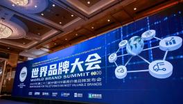 562.21亿元！三棵树荣登《中国500最具价值品牌》涂料榜第一