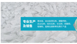 产能突破30万吨大关！远销海外的优质填料来了！