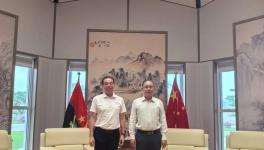 三棵树亚非万里行：以系统性布局领航全球化新篇