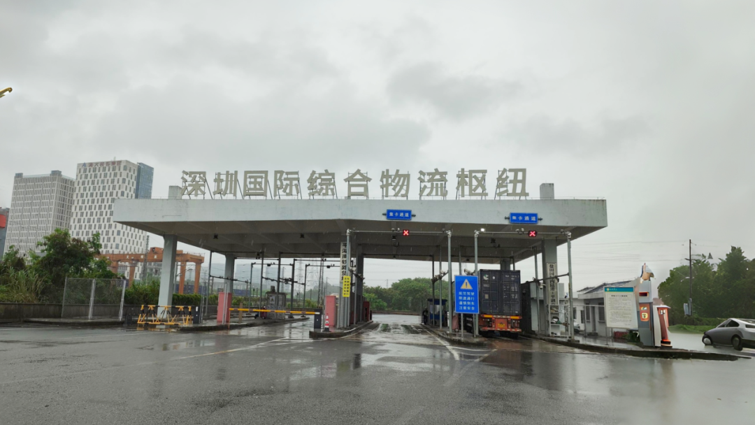 绿色守护！三棵树民族涂料龙头为钢铁脊梁保驾护航！