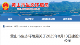 投资2900万！替代TGIC！年产8000吨HAA固化剂项目公示！