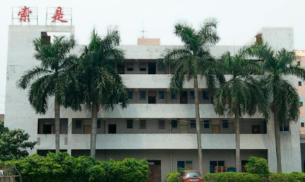上海索是化工：伟德客户端官网助剂领域的创新引领者